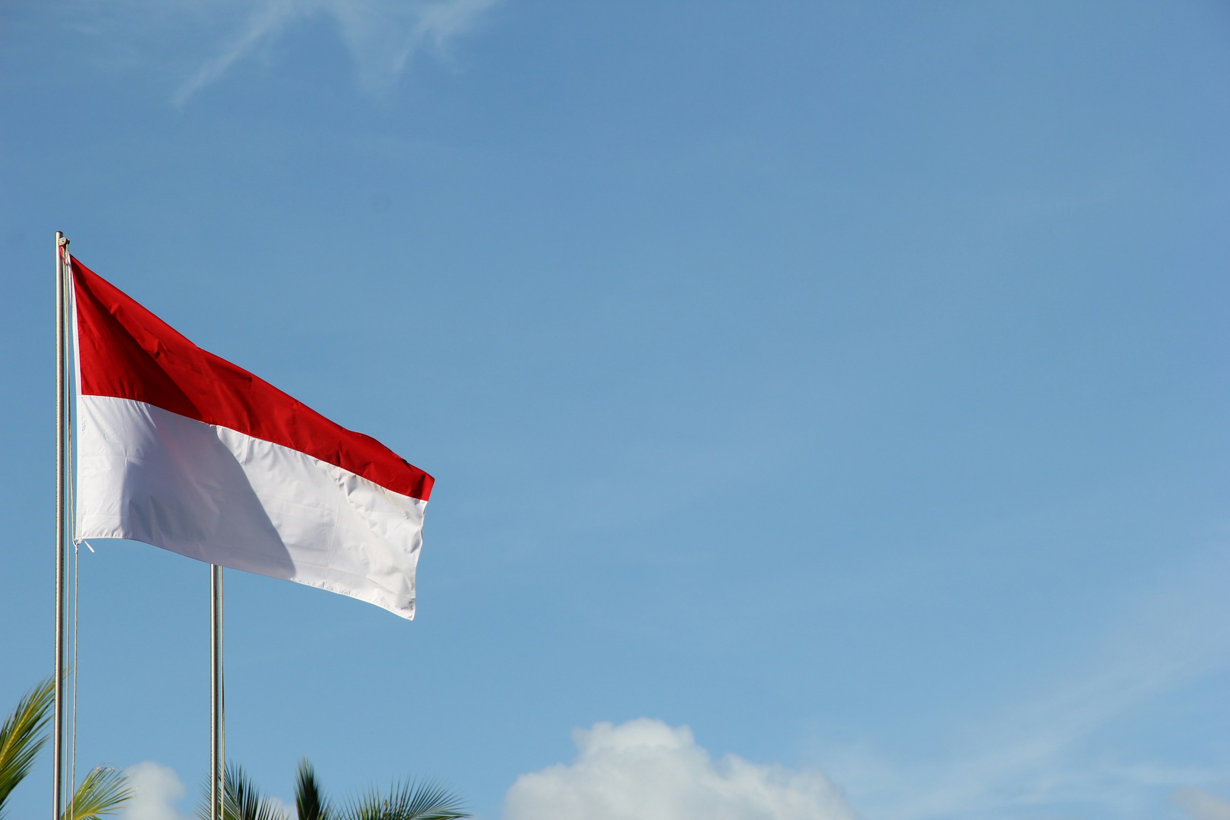 Economic and Social Indicators: A Homework for Indonesia